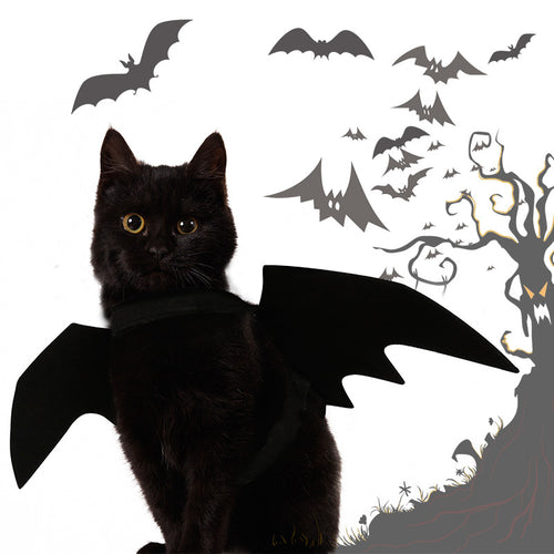Midnight Wings Bat Costume